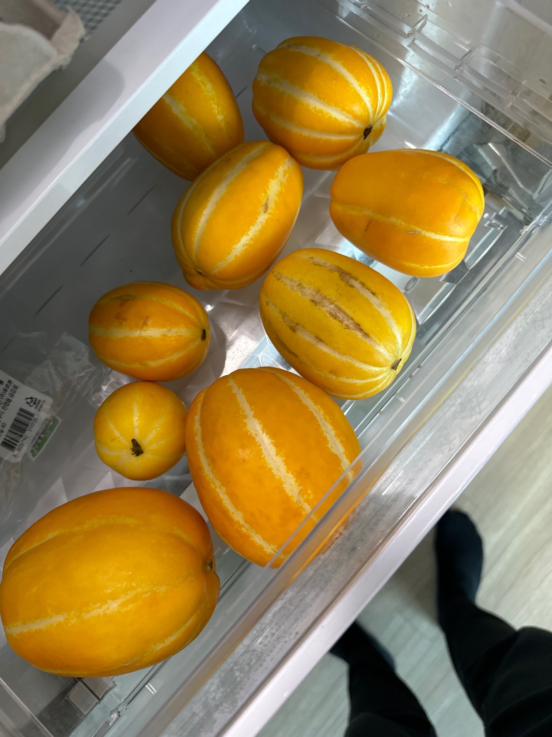 IMG_7019.jpeg