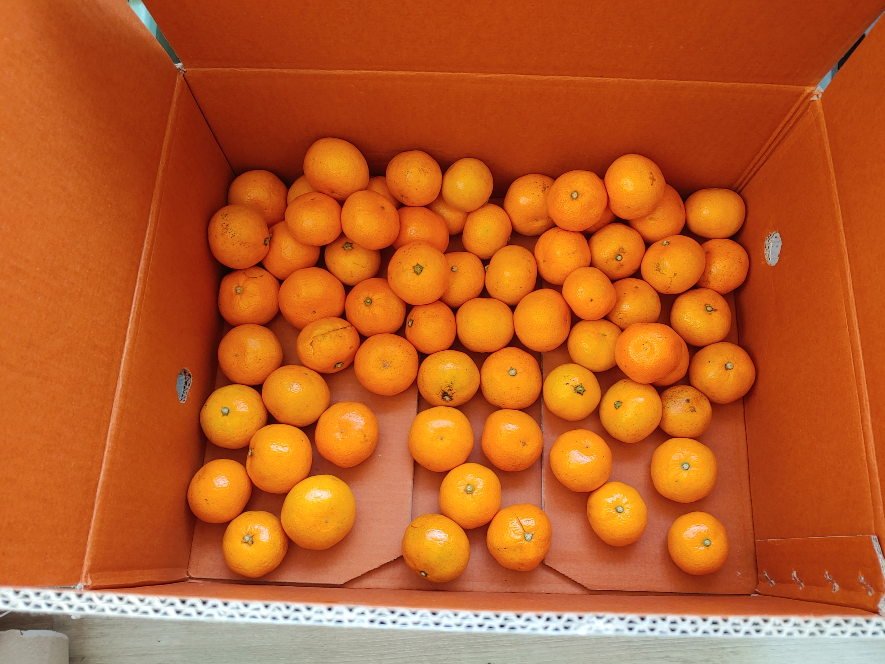 20260104_152557.jpg