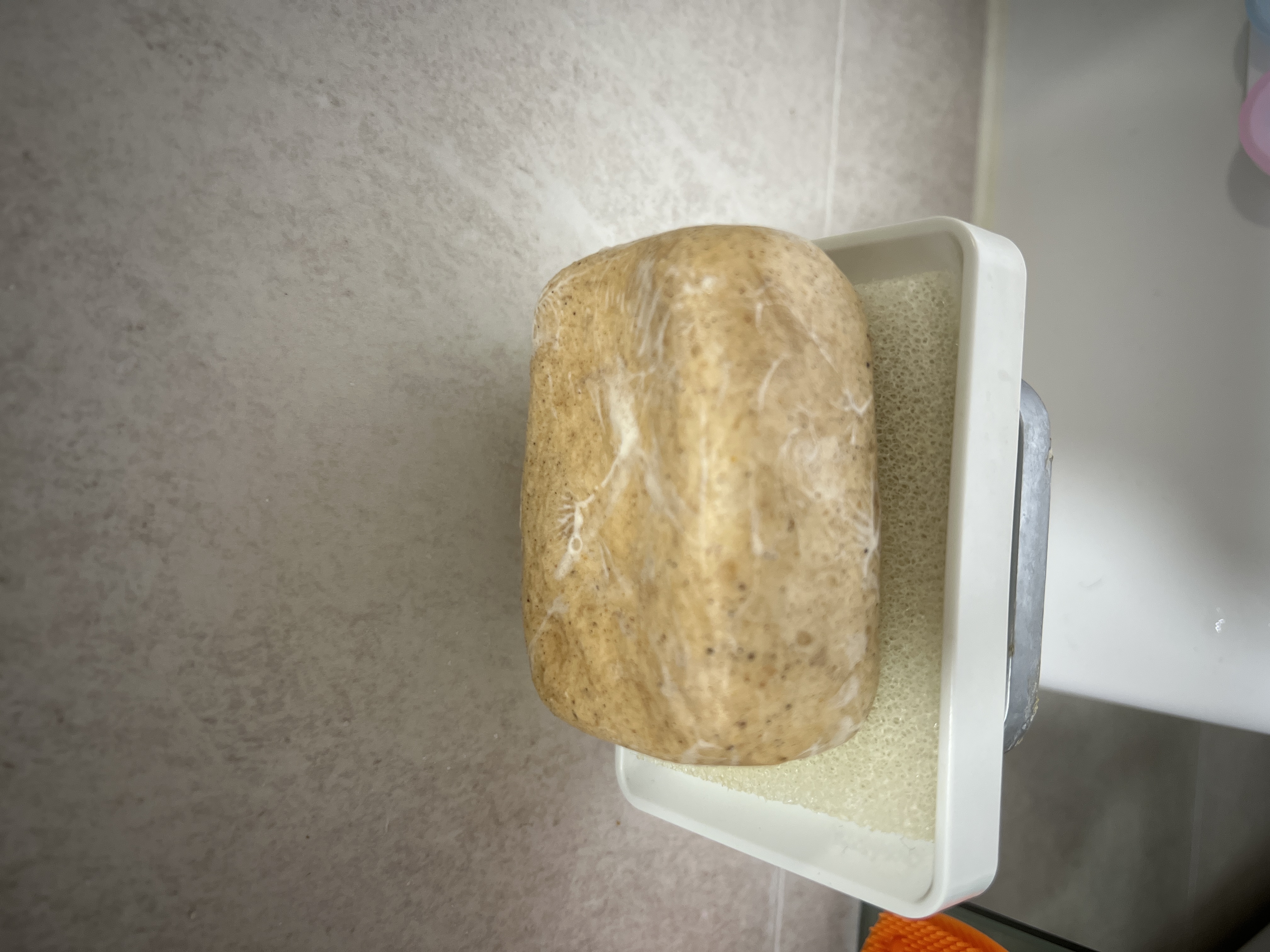 image.jpg