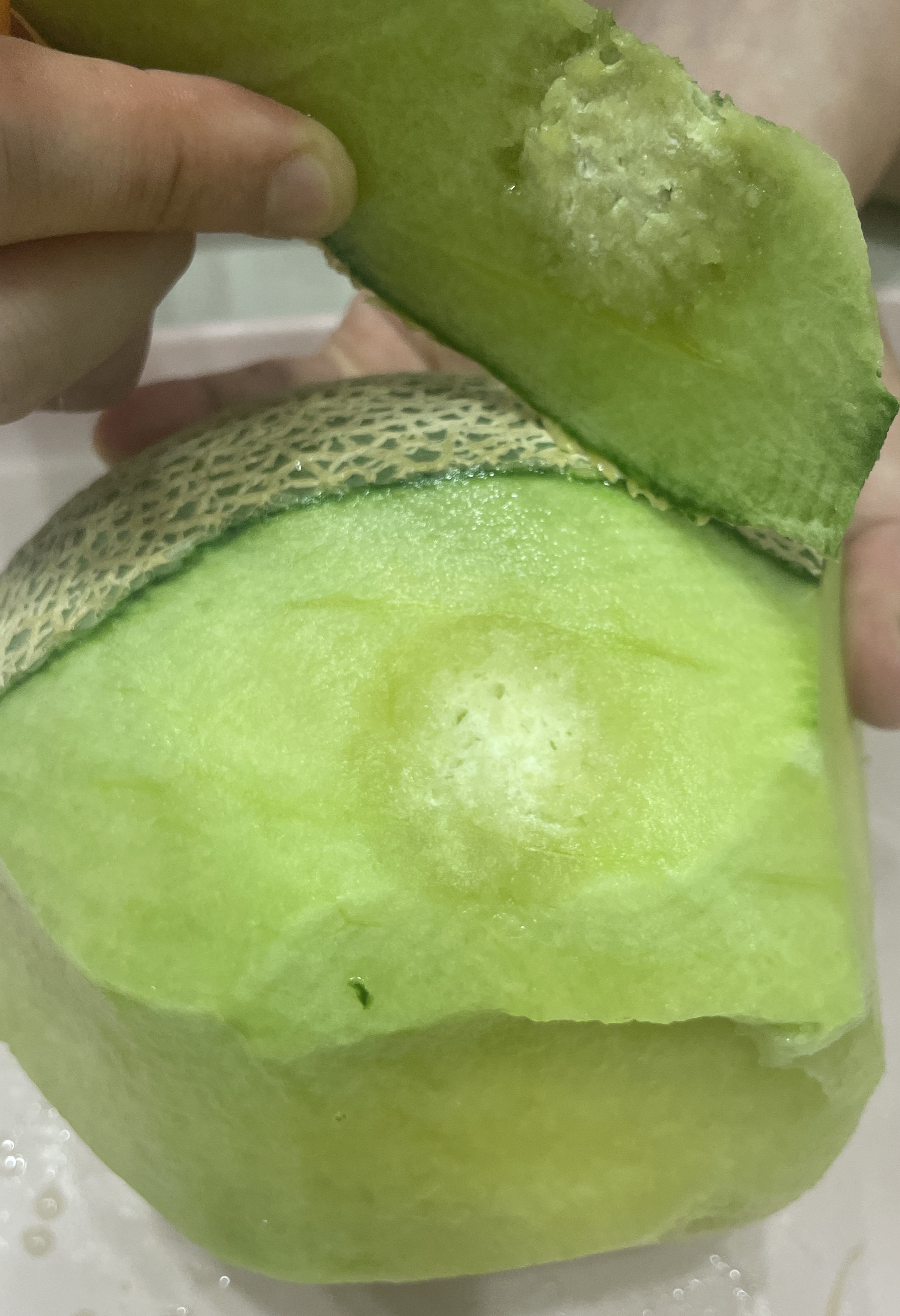 리뷰 사진