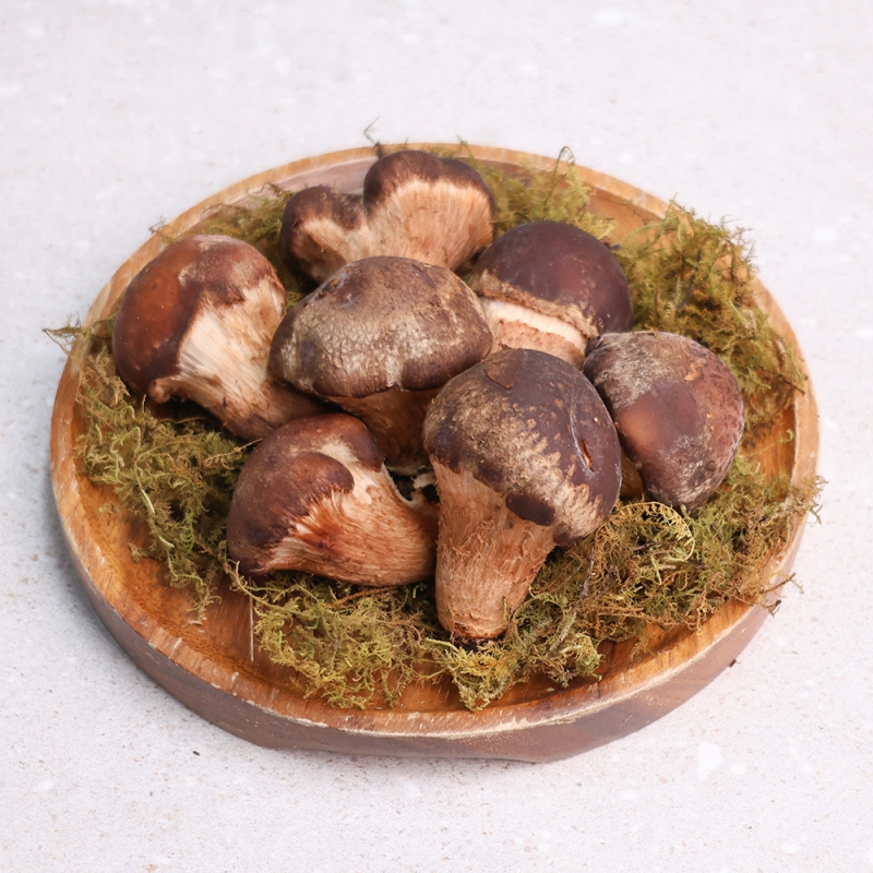 오늘신선 산지직송 무농약 참송이버섯 가정용 정품 500g 3일 16시 상품이미지