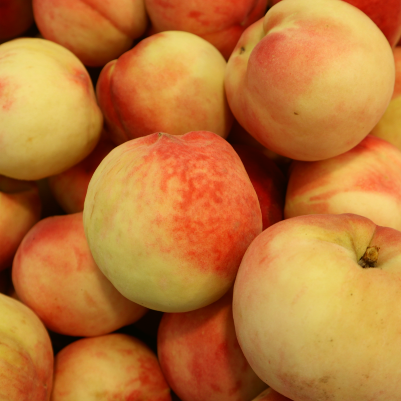 경산/김천 황도 복숭아 소과 1.5KG(10내 이상) 상품이미지