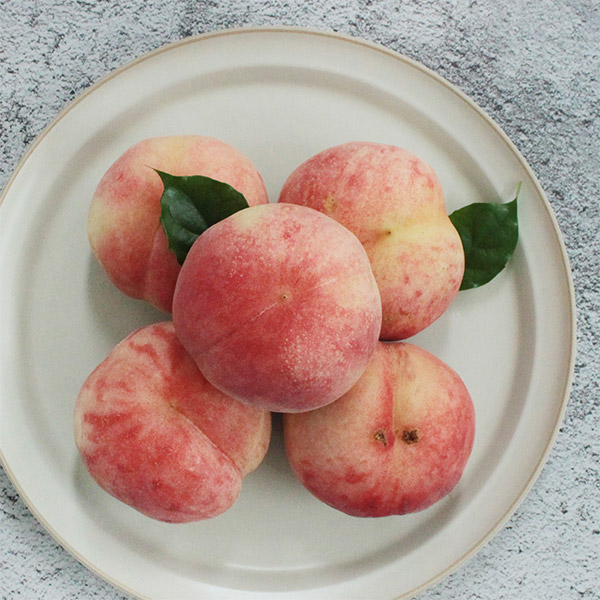 시즌과일! 새콤달콤 복숭아 모음전 (천도/황도/백도/납작복숭아/딱복) 상품이미지