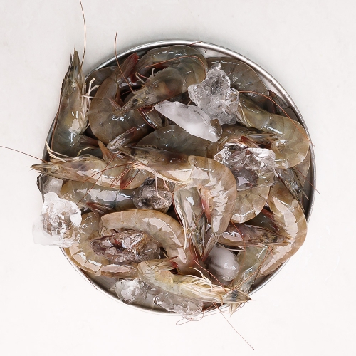 [오늘신선] 국산 신안 생물 흰다리새우 왕새우 500g/1kg 대사이즈