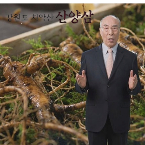 강원도 치악산 산양삼 5뿌리 국내산 인삼 새싹 산양삼 원기회복 묘삼 고급 오동나무 박스 포장 5뿌리 1세트