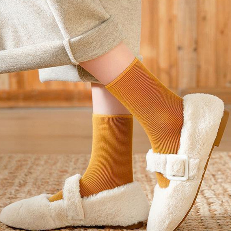 컬러기모양말10켤레세트 상품이미지