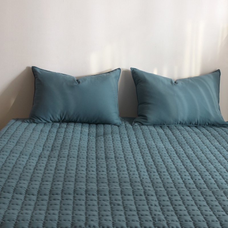 [Guy Laroche] 기라로쉬 심플 세미마이크로화이바 논슬립패드 S 상품이미지