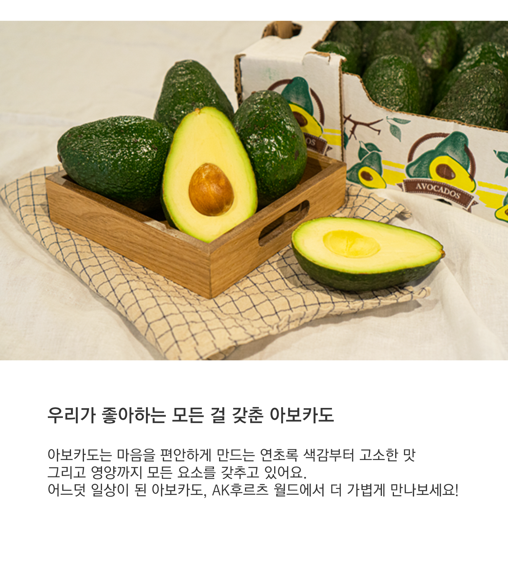 KakaoTalk_20250402_144708275.png