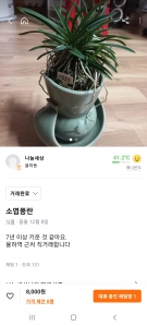 커뮤니티 게시글 썸네일