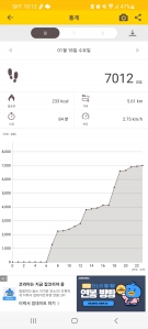 오늘은 7000보 인증