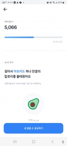 오천보걷기