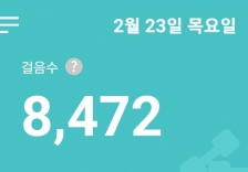 2월23일 걷기