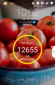 10000보 걷기(2일째)