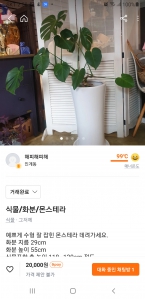 커뮤니티 게시글 썸네일