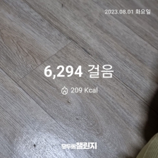 오늘은 5천보이상 걷기 성공!