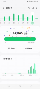 10월 29일 걷기 인증