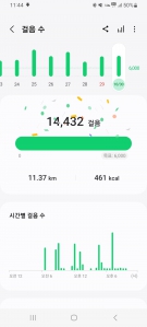 10월 30일 걷기인증