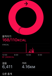 정말 열심히 걸어다녔어요