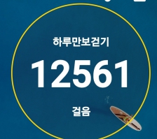 2024보