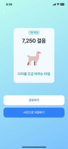 걷기인증