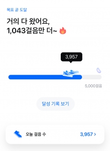 오늘의 걸음은 3957보!!