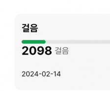 2023보 걷기