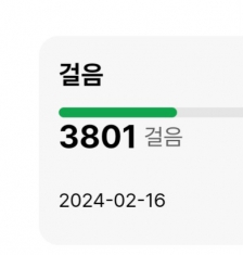 2023보 걷기