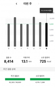 매일 8천보걷기 일주일 실천