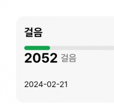 2023보 걷기