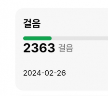 2023보 걷기