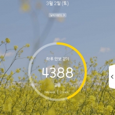 4388 걸음