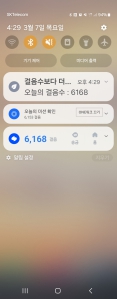 매일3000보 걷기