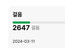 2023보 걷기 