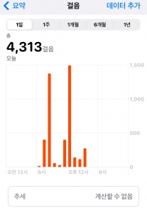 3월 13일 2023보 이상 걷기