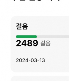 2023보 걷기 