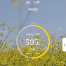 5051 걸음