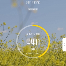 4411 걸음