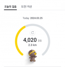 걷기 챌린지 2023보 이상 걷기