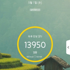 13950 걸음