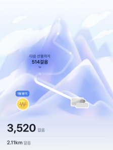 2023보 이상 걷기