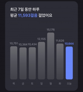 만보걷기 성공