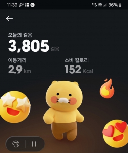 2023보걷기