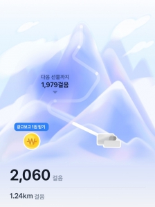 2023보이상 걷기