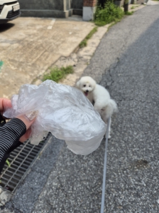 커뮤니티 게시글 썸네일