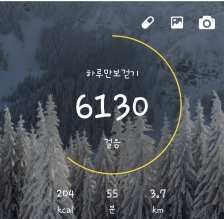 5000보 걷기