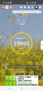 2023보걷기