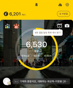 6,530보 걷기 성공