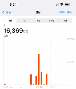 11월18일 걷기