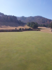 눈이 행복한 초록