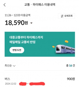 대중교통 이용내역 